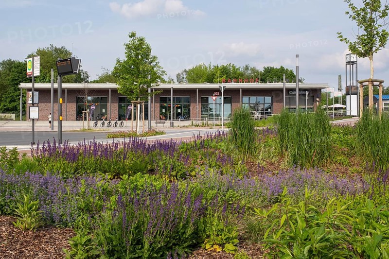 Railway station with flower bed, Dülmen, Münsterland, North Rhine-Westphalia, Germany, Europe