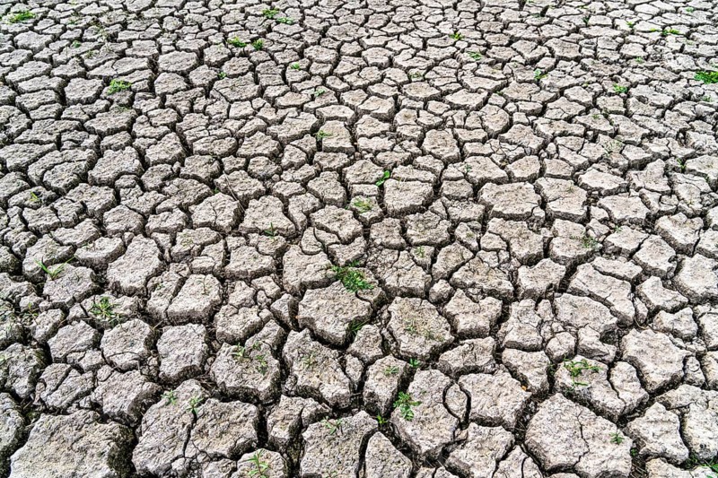 Dry ground, cracked, dried-up riverbed, in a branch of the Rhine, near Duisburg