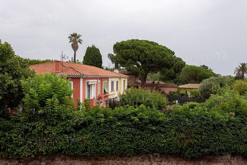 Traditional house in Fréjus, with pine trees and palm trees behind, Fréjus, Var, Provence-Alpes-Cote d'Azur, France, Europe