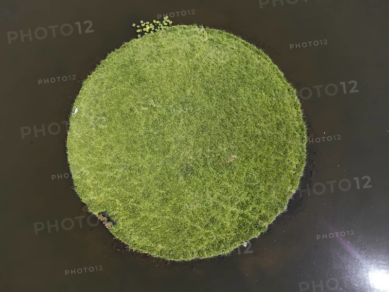 Aerial panoramic view of an island, lake in the castle gardens, single birdSchwerin castle grounds, Schwerin, Germany, Europe