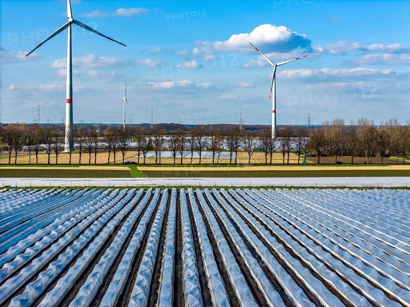 Asparagus fields, asparagus stems under foil, for faster growth, in the background foil greenhouses for strawberries, wind turbines, near Kirchhellen, district of Bottrop, North Rhine-Westphalia, Germany, Europe