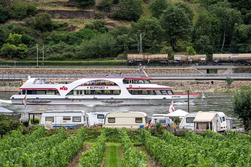 Upper Middle Rhine Valley, north of Bingen, Marienort campsite, excursion boat Boppard on the Rhine, goods train on the right bank of the Rhine, Rhineland-Palatinate, Germany, Europe