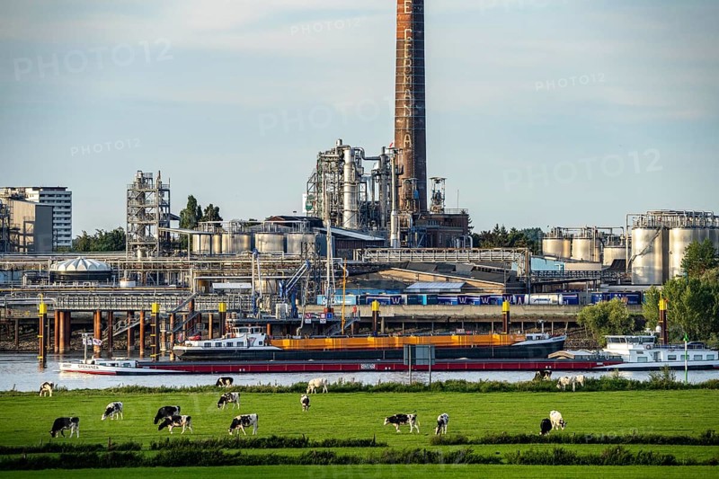 Cargo ship on the Rhine near Emmerich, Kao Chemicals scenery, KLK, Left Rhine pastures, Left Rhine, Lower Rhine, North Rhine-Westphalia, Germany, Europe