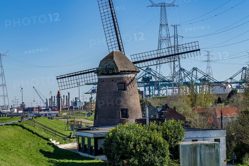 The port of Antwerp, on the Scheldt, is the second largest seaport in Europe, container port DP World Antwerp Gateway quay, old windmill on the dyke of Doel, Flanders, Belgium, Europe