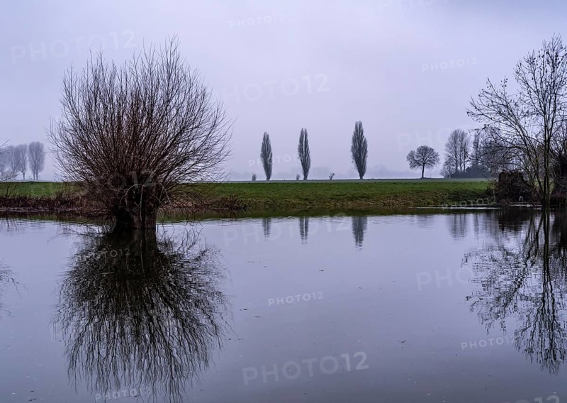 High water on the Rhine at Düsseldorf-Kaiserswerth, foggy weather, riverside paths and Rhine meadows are partly flooded, the Rhine ferry has stopped operating, initial restrictions on shipping apply, Düsseldorf, North Rhine-Westphalia, Germany, Europe