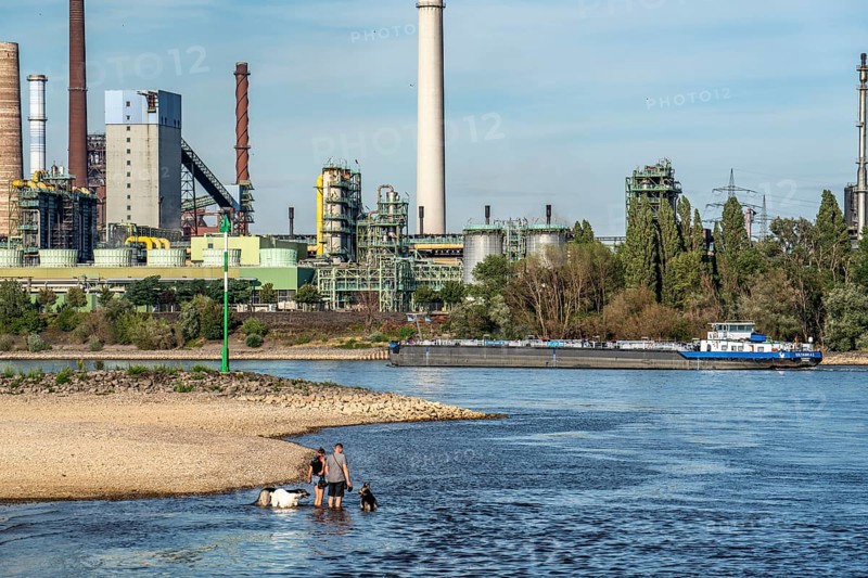 Low water level on the Rhine, banks dry up, sandbanks in the river, shipping can only navigate with reduced cargo and speed, Thyssenkrupp Steel, steelworks, Schwelgern coking plant, Duisburg-Bruckhausen, North Rhine-Westphalia, Germany, Europe