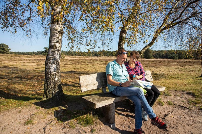 Hikers in the Westruper Heide, heathland near Haltern am See, Hohe Mark Westmünsterland nature park Park, North Rhine-Westphalia, Germany, Europe
