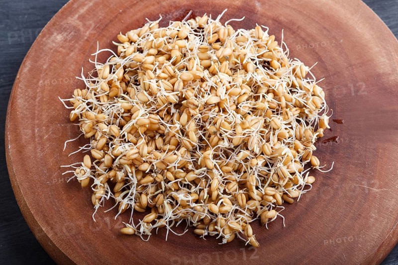 Heap of germinated wheat on brown wooden background, close up, top view