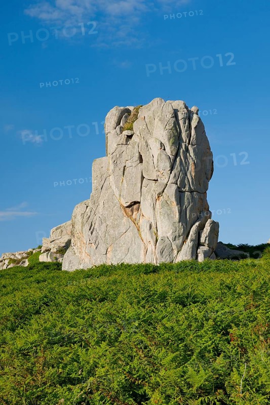 Striking boulders surrounded by ferns on the Pink Granite Coast in Brittany, France, Europe