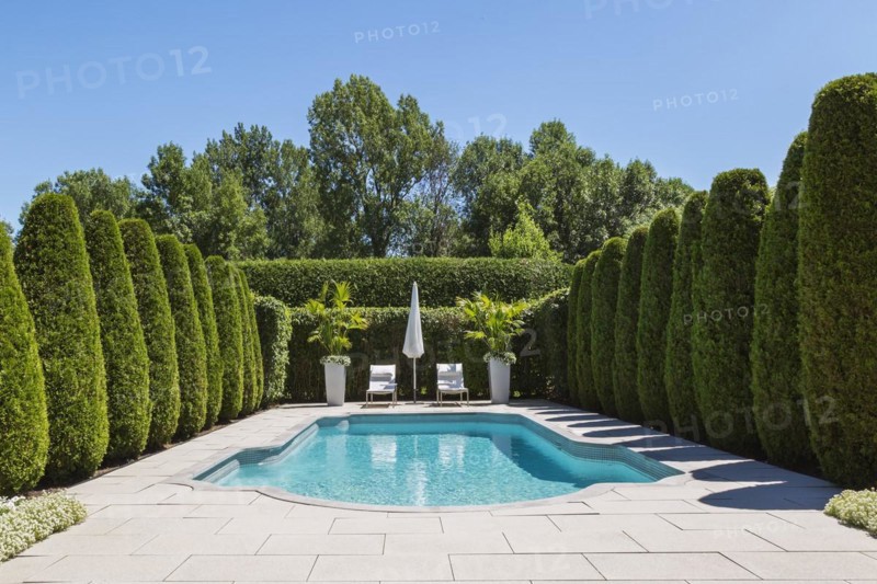 In-ground swimming pool and lounge chairs with parasol, planters bordered by rows of Thuja occidentallis, cedar trees and hedge in luxurious residential backyard, Quebec, Canada, North America