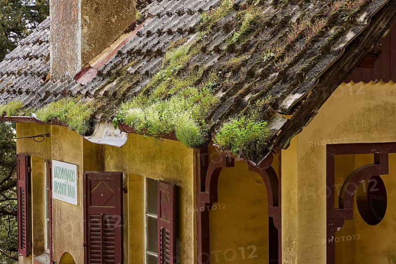 Weathered roof of an old house with plants and a sign in the forest, Big old trees, wild nature, Profitis Ilias, Rhodes, Dodecanese, Greek Islands, Greece, Europe