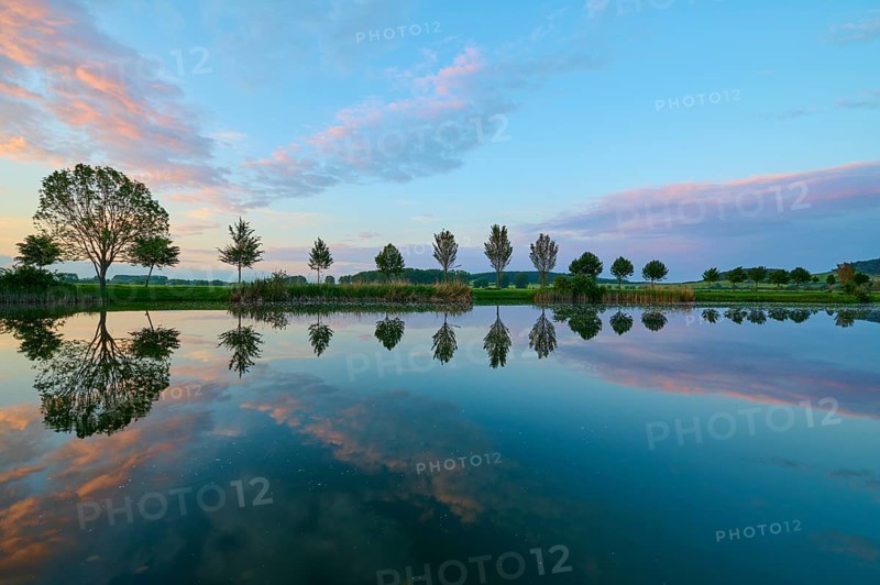 Lake in spring with row of trees and reflection at sunset, Drei Gleichen, Ilm-Kreis, Thuringia, Germany, Europe