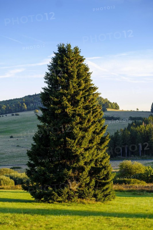 View from the Heidelstein, Schwabenhimmel, UNESCO Biosphere Reserve, near Hausen, Rhön, Bavarian Rhön, Rhön, Lower Franconia, Bavaria, Germany, Europe