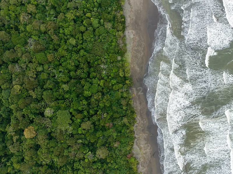 Top-down, aerial view, beach and sea, coast with rainforest, Tortuguero National Park, Costa Rica, Central America