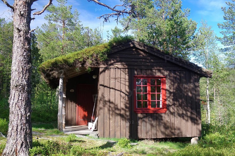 Small rustic wooden hut with a red window and a door in a green forest, typical holiday huts on a campsite, Gaulartal, Norway, Europe