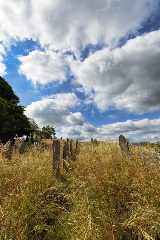 Overgrown old gravestones in a meadow, rows of graves between dry grasses in a cemetery, St Garmons Church, Capel Garmon, Conwy, Wales, United Kingdom, Europe