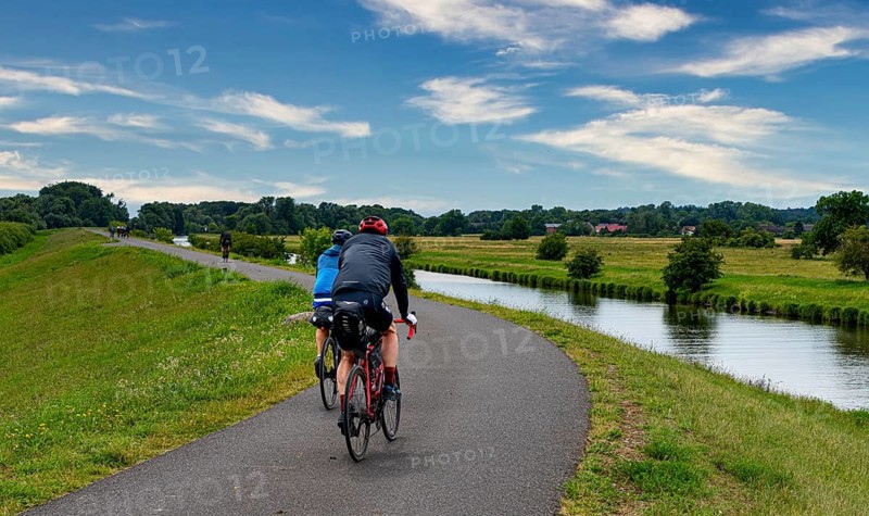 Cyclist on a cycle path by the river, landscape in the Lower Oder Valley National Park, Criewen, Brandenburg, Germany, Europe