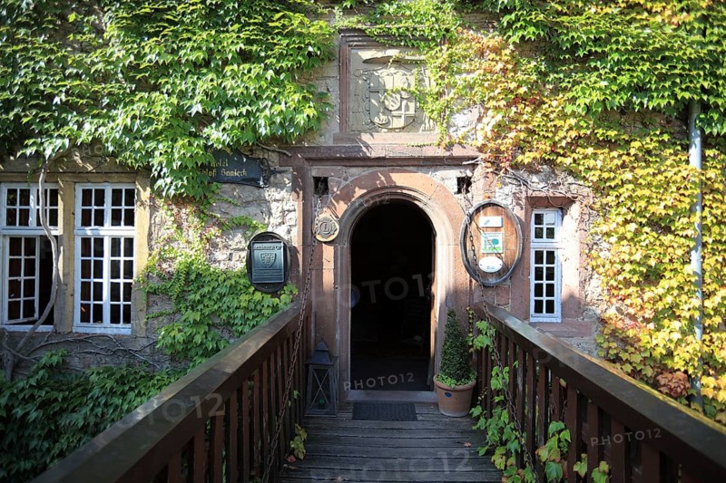 Entrance to the winery at Saaleck Castle near Hammelburg, Lower Franconia, Bavaria, Germany, Europe
