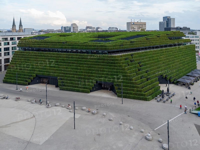 Der Kö Bogen II, Europas größte Grünfassade aus Hainbuchen, Düsseldorf, Nordrhein-Westphalen, NRW, Deutschland