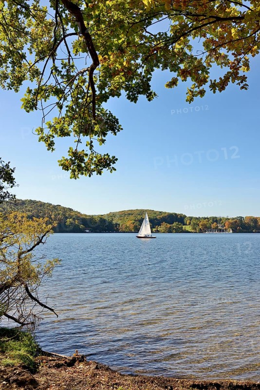 Deciduous trees with autumn leaves on the lakeshore, sailing boat on the Möhne dam, blue sky, North Rhine-Westphalia, Germany, Europe