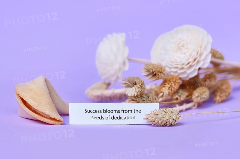 Fortune cookie with motivational text on paper saying 'Success blooms from the seeds of dedication' on violet background with dried flowers