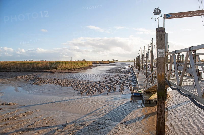 Low water, Ems, silt inflow, ferry harbour, Petkum, East Frisia, Germany, Europe