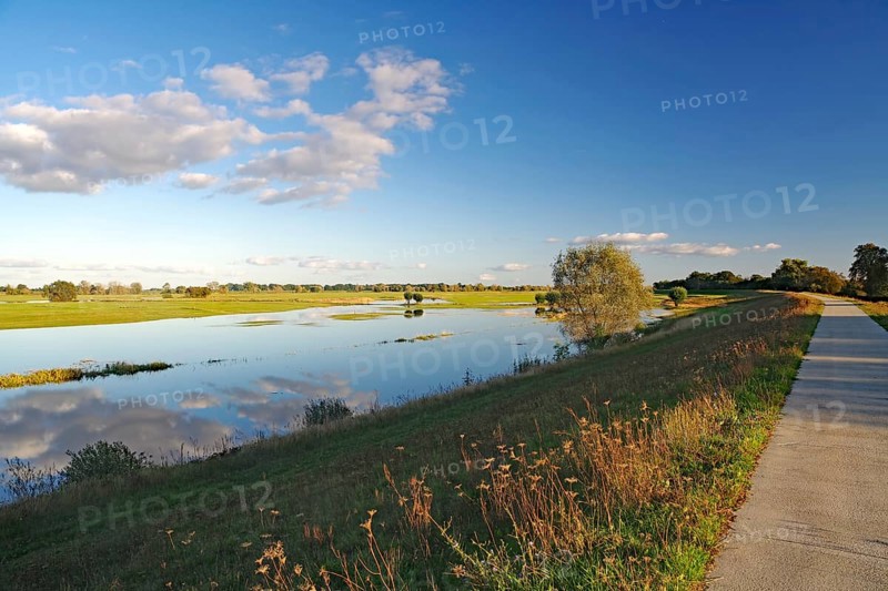 Wide landscape with river and road under blue sky in the evening light, Langenfeld, Elbe, Wendland, Lower Saxony, Germany, Europe