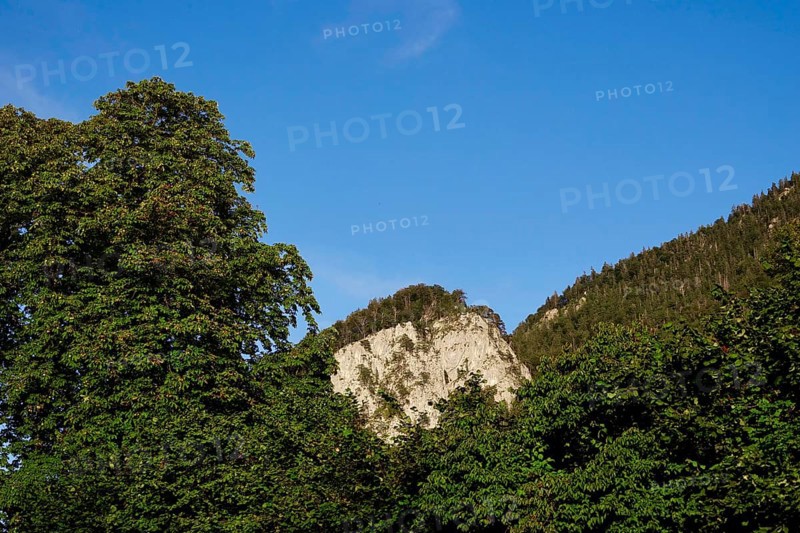Mountain world near Kochel am See, August, Bavaria, Germany, Europe