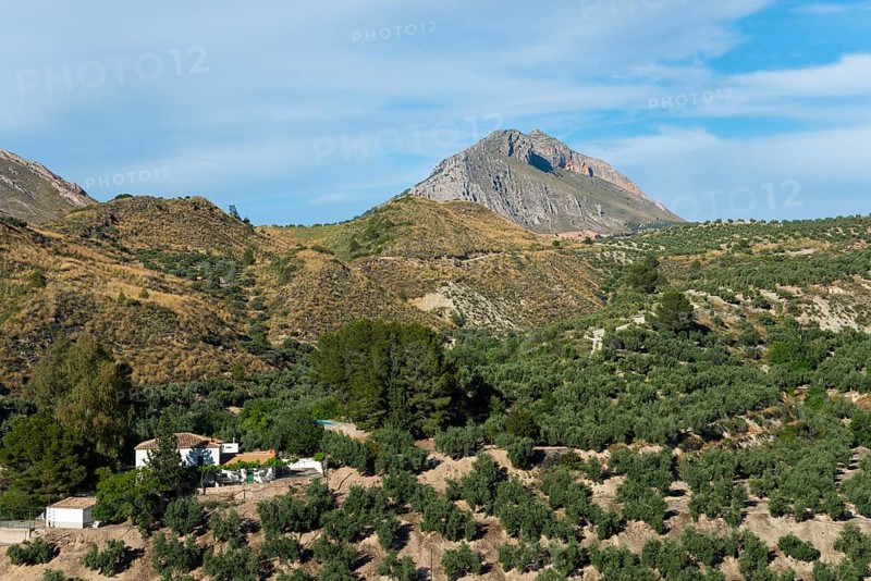A picturesque view of green fields and mountains under a blue sky, near Bedmar y Garcíez, Bedmar y Garciez, Sierra Mágina Natural Park, Jaén province, Jaen, Andalusia, Spain, Europe