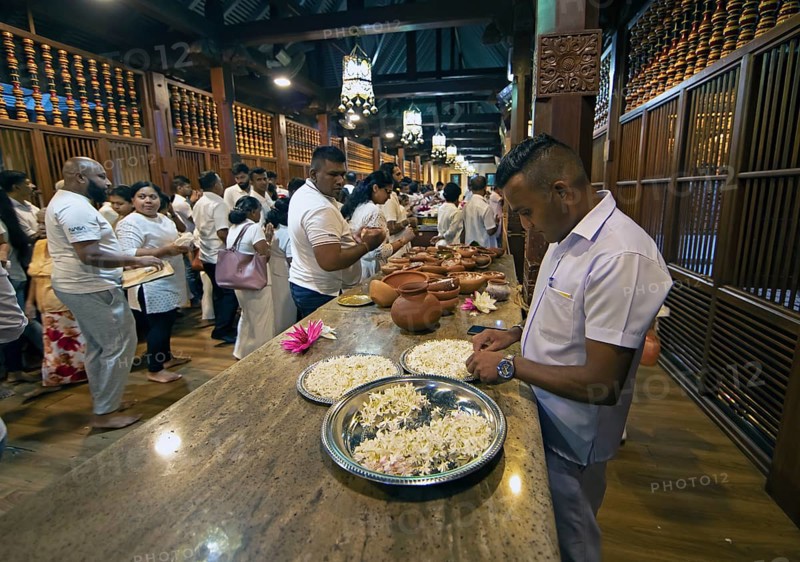 Sri Lankan pilgrims offering white jasmine flowers at the Buddhist Temple of the Tooth or Sri Dalada Maligawa, Kandy, Central Province, Sri Lanka, Asia
