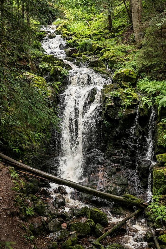 Waterfall, Windberg Waterfall, St Blasien, Southern Black Forest, Black Forest, Germany, Europe