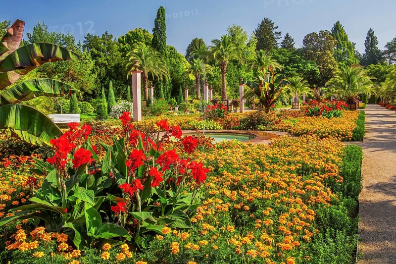 Palm garden in the historic spa gardens, the largest outdoor palm garden north of the Alps, Bad Pyrmont, Emmertal, Weserbergland, Oranierroute, Lower Saxony, Germany, Europe