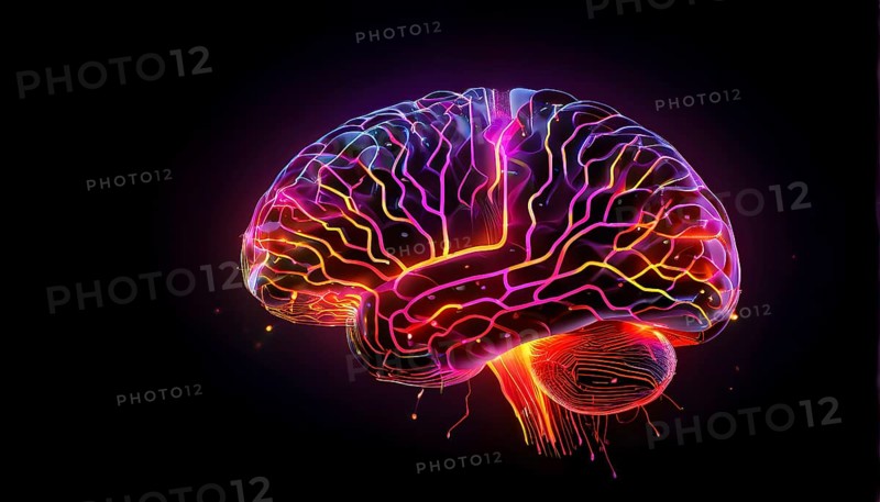 Abstract digital brain made of interconnected lines and glowing circuits in neon colors, representing artificial intelligence processing information, AI generated
