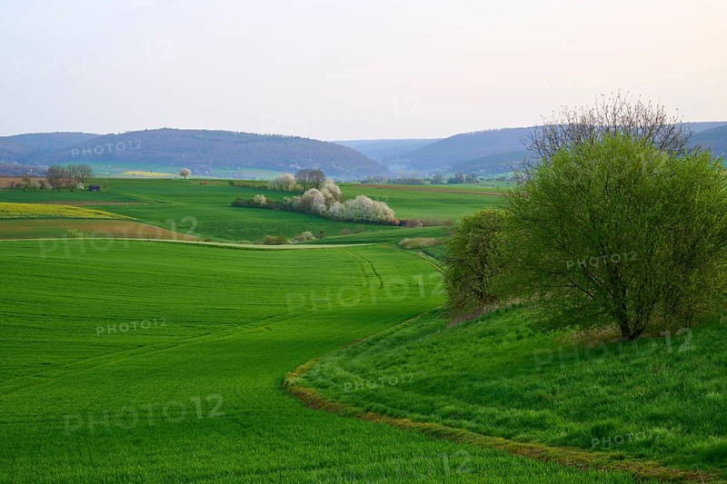 Spring landscape with green fields, hills and blossoming trees, Mönchberg, Miltenberg, Spessart, Bavaria, Germany, Europe