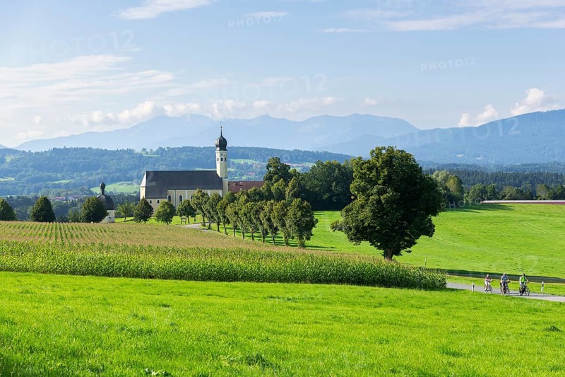Pilgrimage church of St. Marinus and Anian in Wilparting, cornfield, avenue, meadow, cyclist, holidaymaker, municipality of Irschenberg, Oberland, Upper Bavaria, Bavaria, Germany, Europe