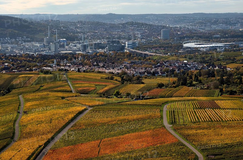 View of MHPArena, MHP Arena, gas boiler, Mercedes-Benz Museum, Daimler Group headquarters, Untertürkheim plant, Stuttgart, over vineyard, vines, grapevines, viticulture, autumn colours, autumn, Kappelberg, roads, paths, Fellbach, Waiblingen, Baden-Württemberg, Germany, Europe