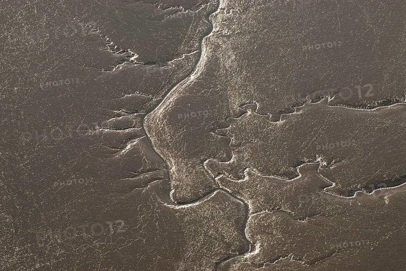 Mühlenberger Loch, brackish mudflats, tidal creek, Tiede, low tide, mudflats, aerial view, Hamburg