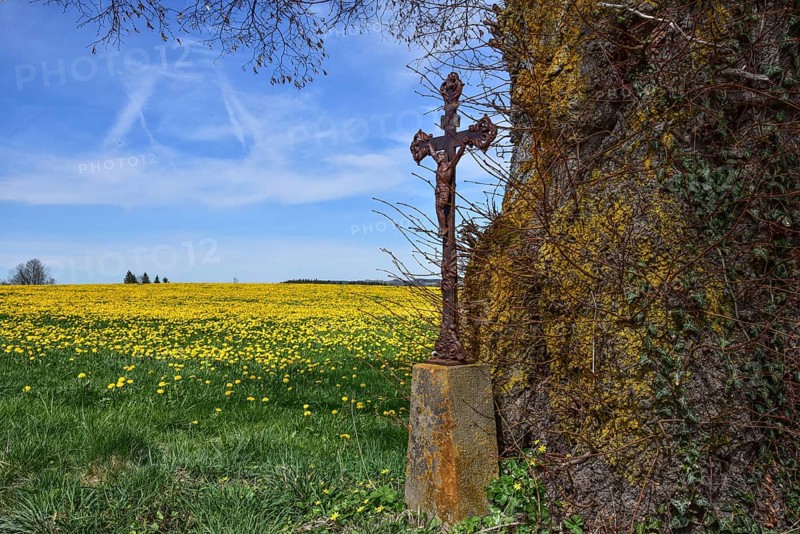 Wayside cross at a spring meadow in the Allgäu, Bavaria, Germany, Europe