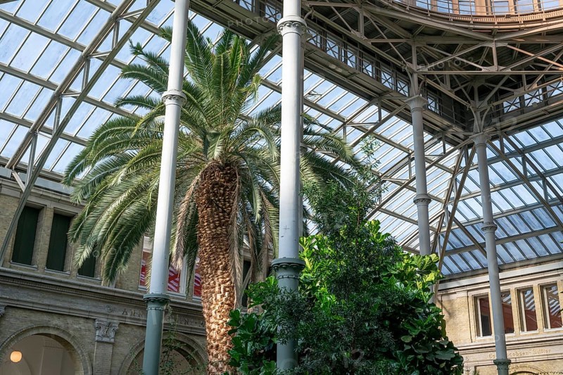 Palm Garden, Ny Carlsberg Glyptotek or New Carlsberg Glyptothek, art museum for sculpture and painting, architects Vilhelm Dahlerup and Hack Kampmann, Copenhagen, Denmark, Europe