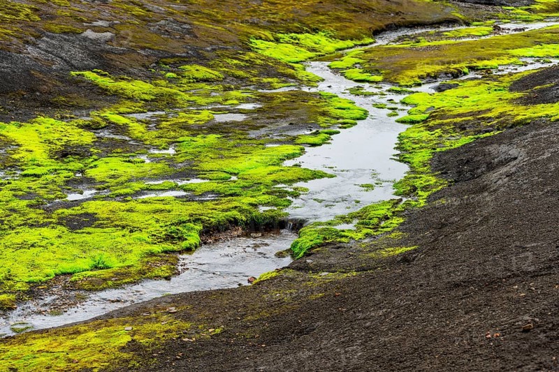 Colourful volcanic landscape with hills and snow, volcanic hot springs, Laugavegur trekking trail, Landmannalaugar, Fjallabak Nature Reserve, Icelandic Highlands, Suðurland, Iceland, Europe