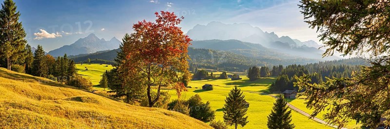 Hummock meadows between Mittenwald and Krün, Werdenfelser Land, with the Wetterstein Mountains behind, Upper Bavaria, Bavaria, Germany, Europe