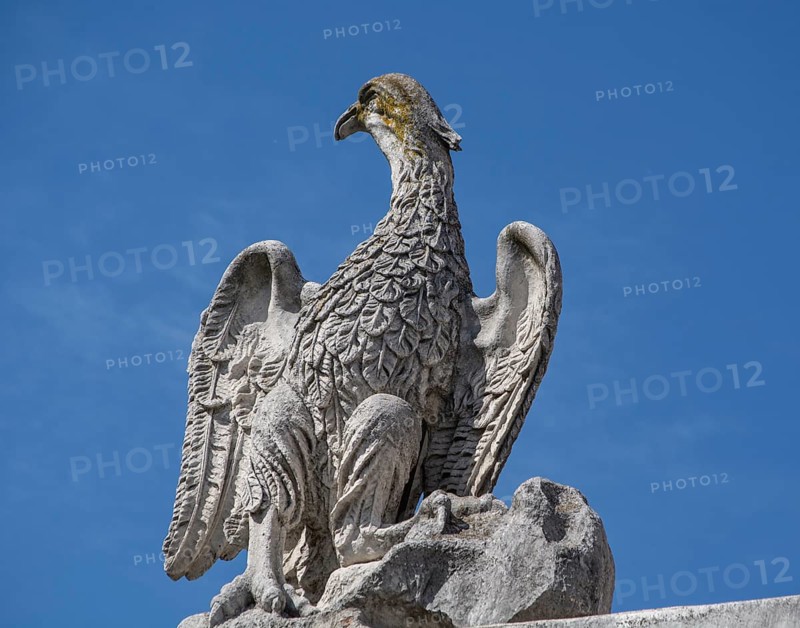Stone figure as a bird in Urbino, Marche, Italy, Europe