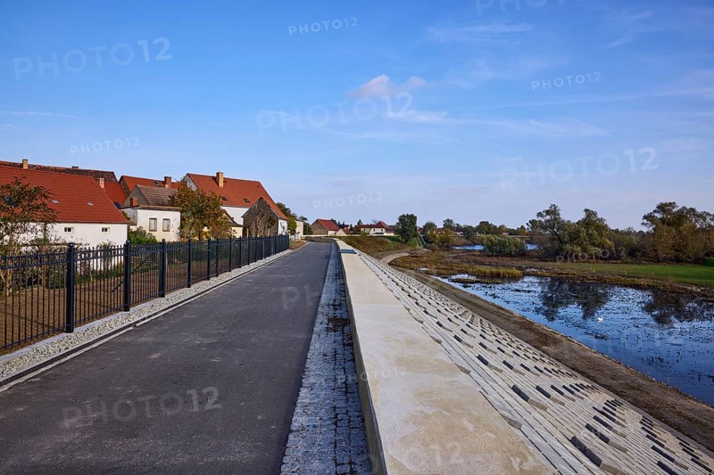 Dyke along the Alte Elbe, residential buildings with gardens, Mühlberg Elbe, Elbe-Elster district, Brandenburg, Germany, Europe