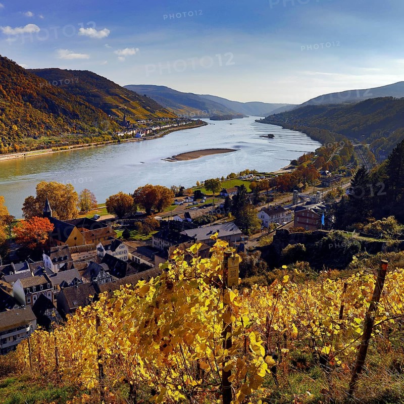 View of Bacharach on the Rhine in autumn with the Fürstental Silvaner wine-growing region, Upper Middle Rhine Valley, Rhineland-Palatinate, Germany, Europe