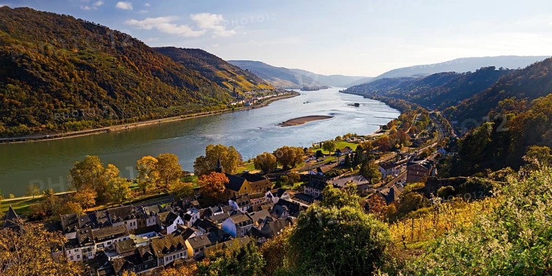 View of Bacharach on the Rhine in autumn, UNESCO World Heritage Upper Middle Rhine Valley, long-distance hiking trail RheinBurgenWeg, Rhineland-Palatinate, Germany, Europe