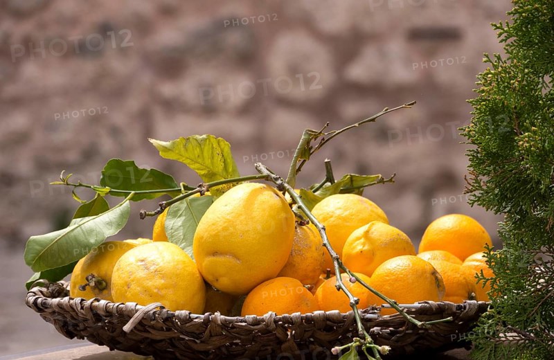 A basket of bright yellow lemons and orange oranges in front of a natural stone wall, Majorca, Balearic Islands, Spain, Europe