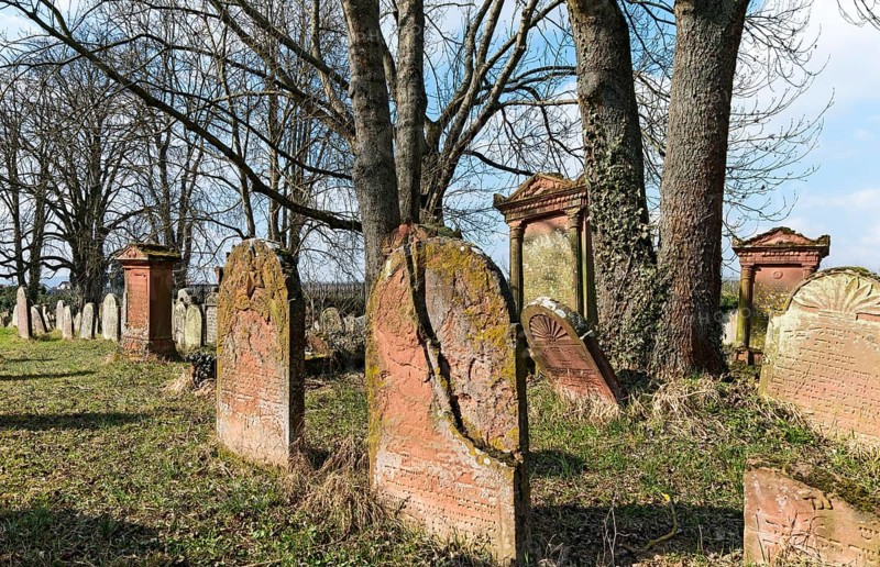 Jewish cemetery with gravestones and trees in a historic setting, Southern Palatinate, Palatinate, Rhineland-Palatinate, Germany, Europe