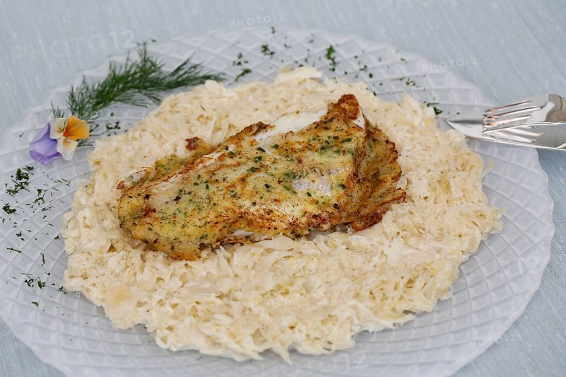 Swabian cuisine, fillet of Lake Constance whitefish with herbs and creamed cabbage, sauerkraut, fish dish, freshwater fish, served on a plate, dill, flowers, fish cutlery, typical Swabian cuisine, traditional cuisine reinterpreted, food photography, studio, Germany, Europe