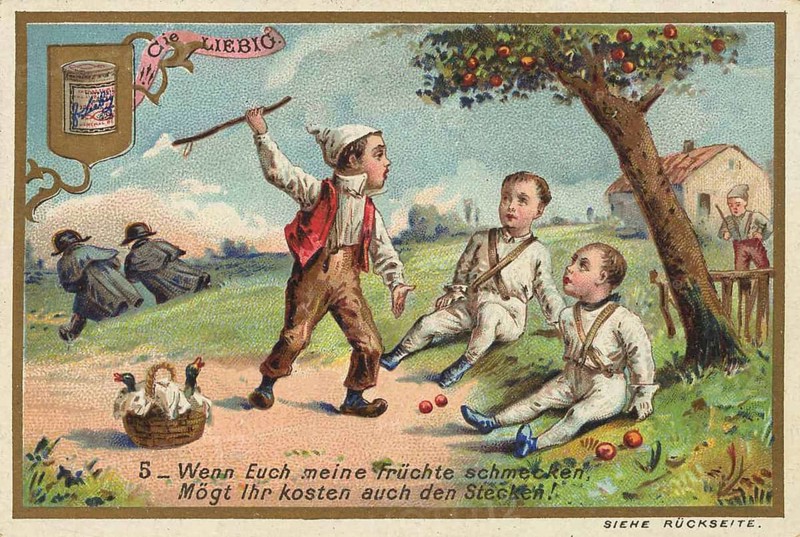 Picture series Children as fruit thieves, if you like my fruit, you may also taste the stick, Liebig picture, digitally restored reproduction of a collector's picture from around 1900, public domain, exact date unknown, children in the orchard playing in traditional dress while ducks pass by and a country house stands in the background