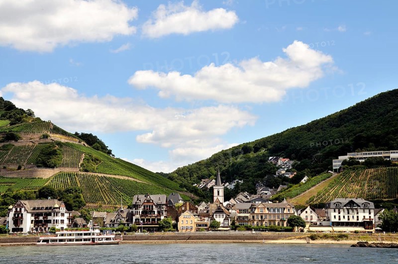 Assmannshausen, UNESCO World Heritage Cultural Landscape Upper Middle Rhine Valley, World Heritage Site, Hesse, Germany, Europe